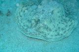 2008-05-19 17-39-22